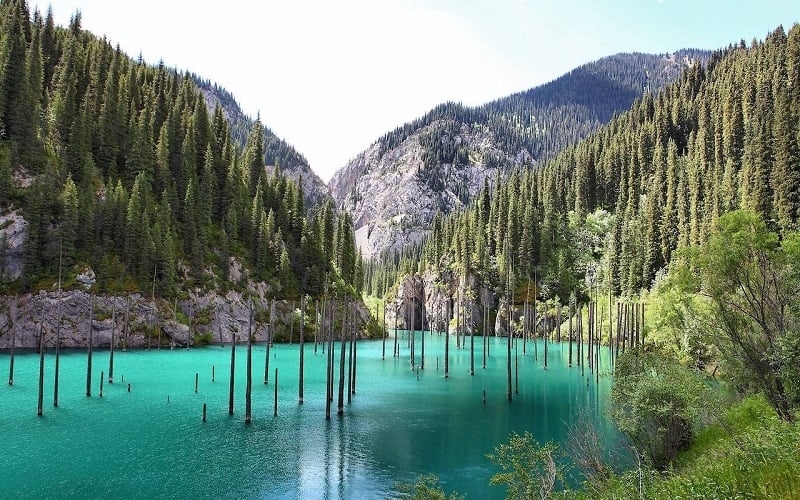 Beautiful Lake Kaindy in Kazakhstan