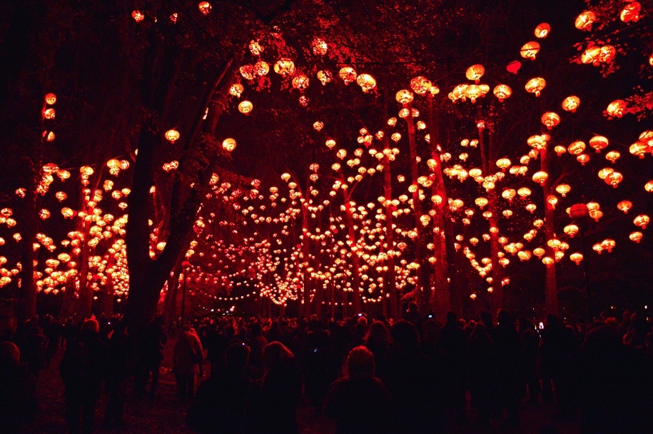 Lyon Light Festival Trees
