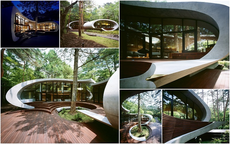 Visually Stunning Homes Look Like Shells
