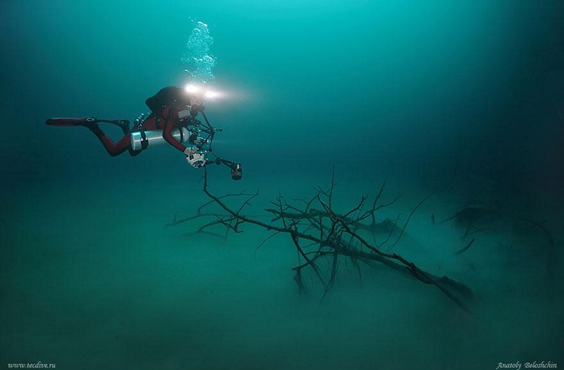 Underwater Divers Float River