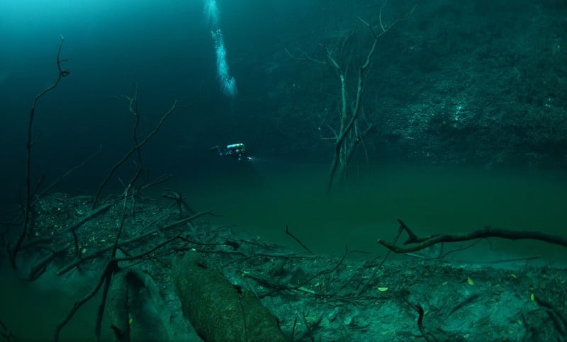 Cenote Angelita in Mexico
