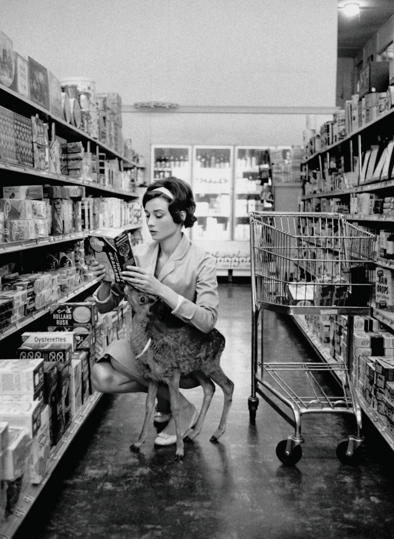 Audrey Hepburn Deer Pet