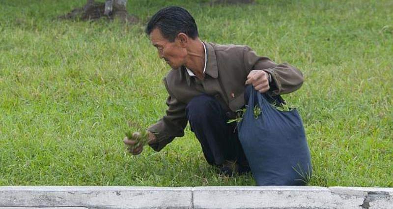 Life Inside North Korea 55 Rare Photographs From North Korea 