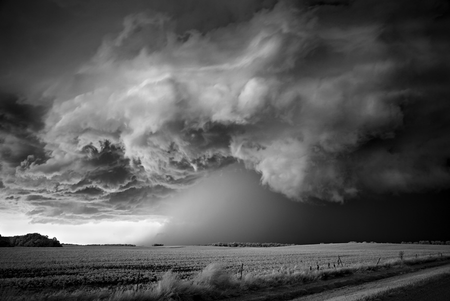 Mitch Dobrowner