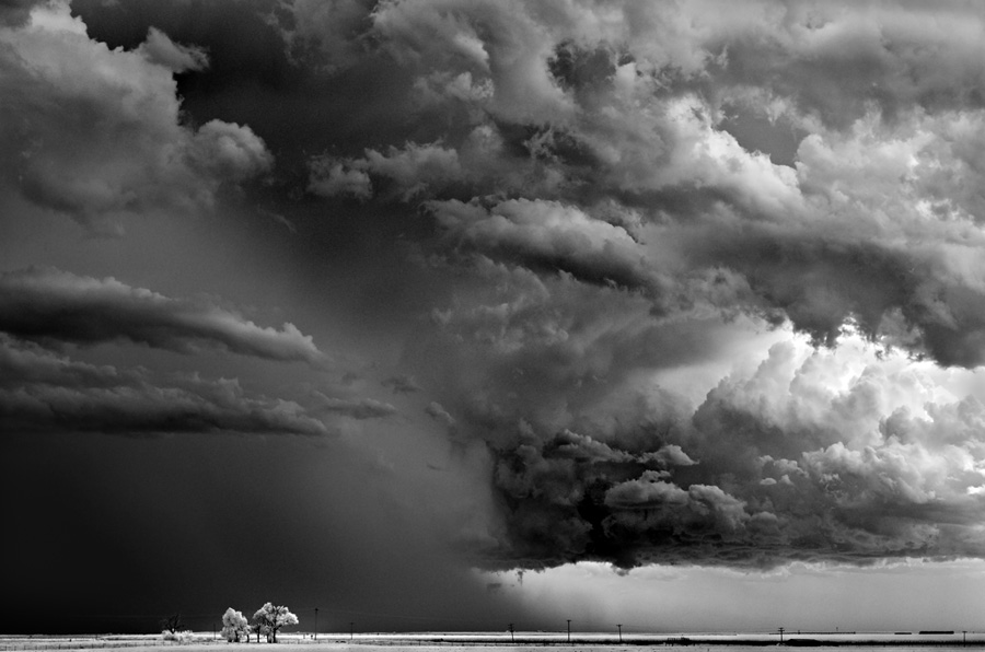 Mitch Dobrowner Pictures