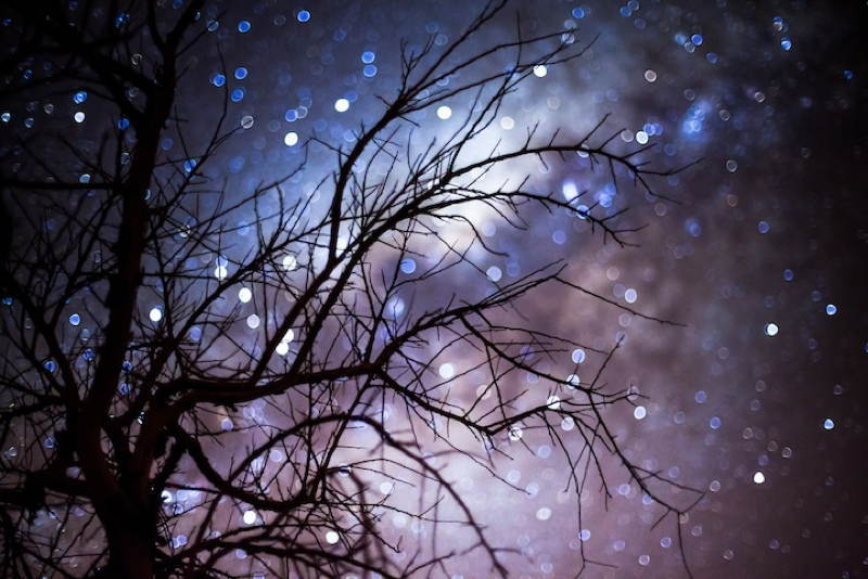 Nicholas Buer Photography Stars