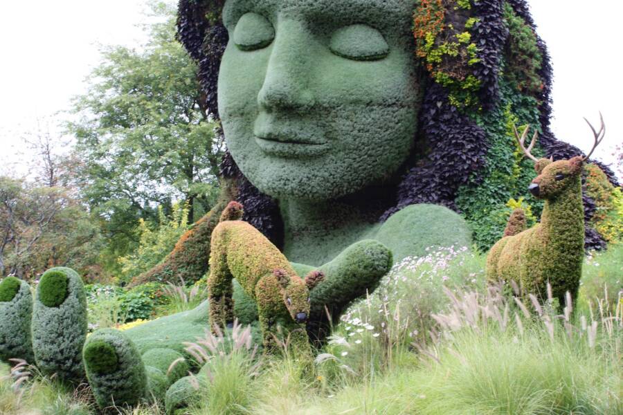 Inside The Montréal Botanical Garden In 33 Breathtaking Photos