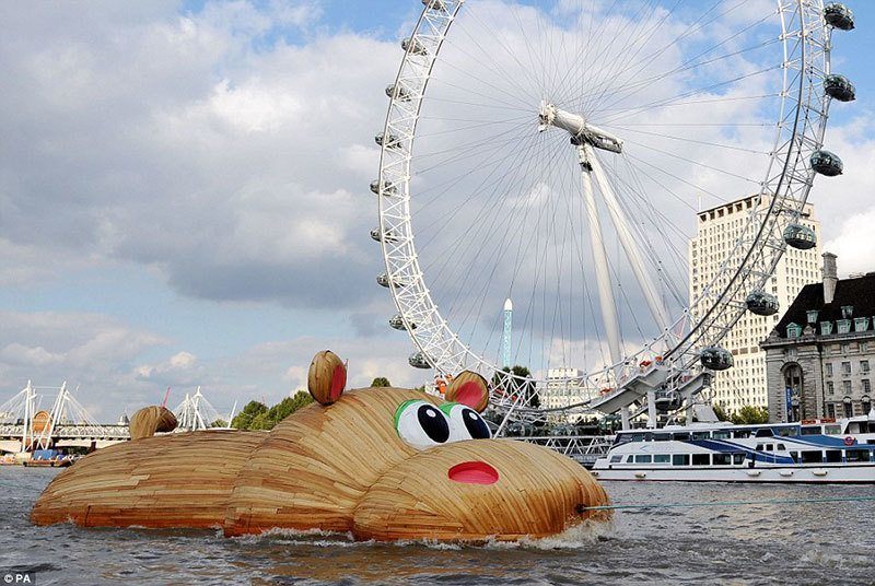 HippoThames Surprising Photos 2014