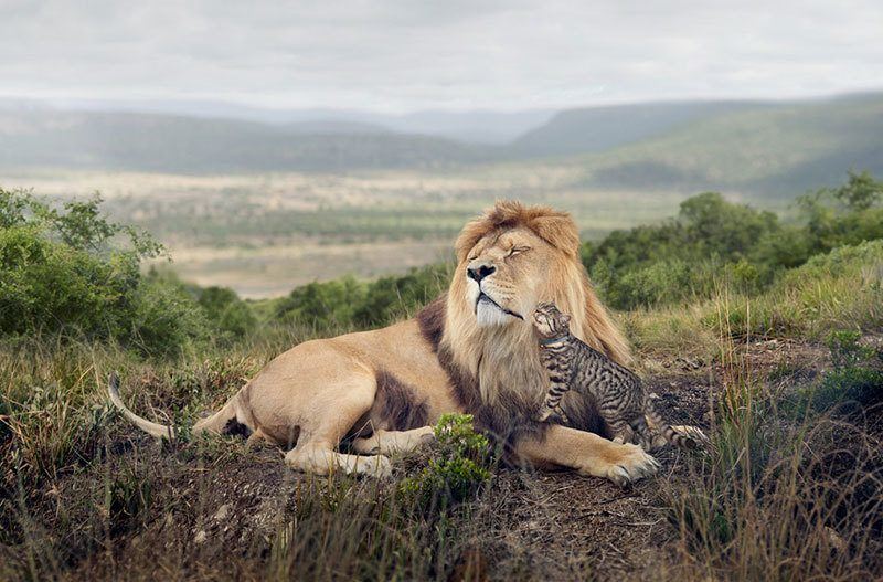 Surprising Photos of 2014 Sony Photography Awards