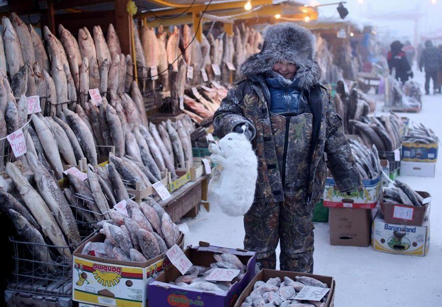 Fish Market In Oymyakon