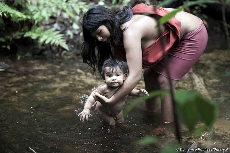 Members Of The Awa Human Tribe