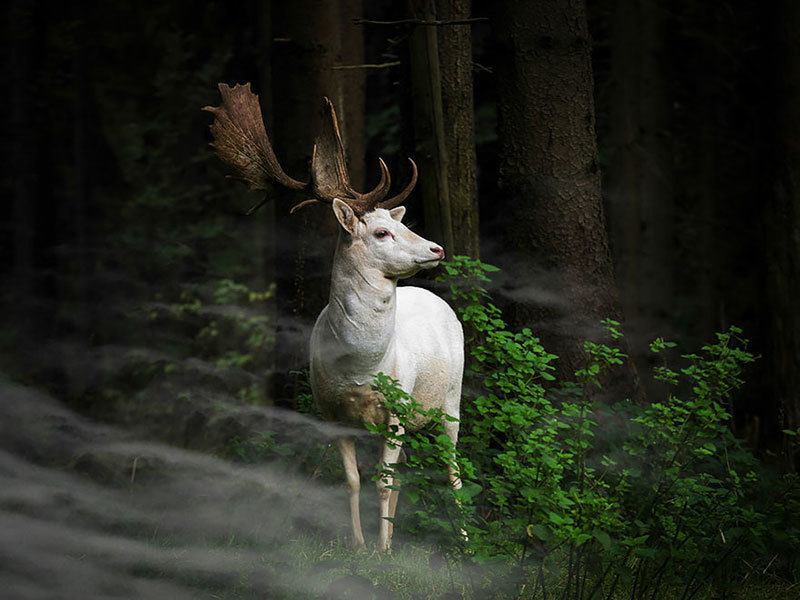 Morning Hour 2015 Sony World Photography Awards