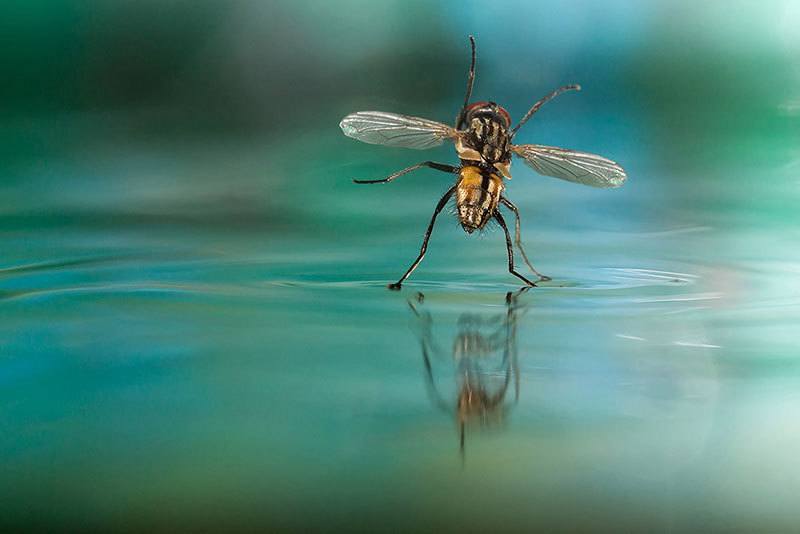 Sony World Photography Awards Shortlist