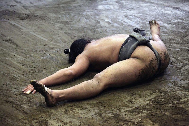 Sumo Wrestler Photo
