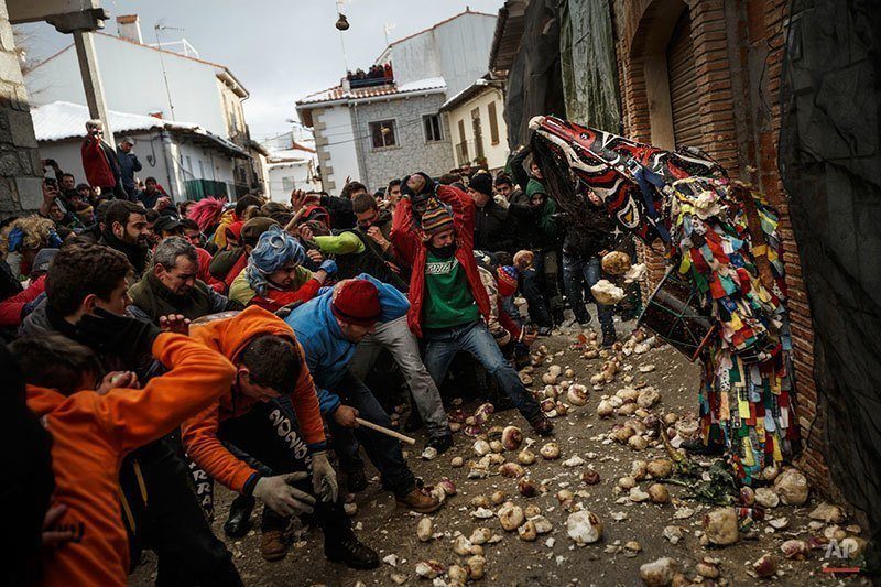 Cornered at Jarramplas Festival