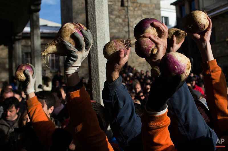 Saint Sebastian Day Festival