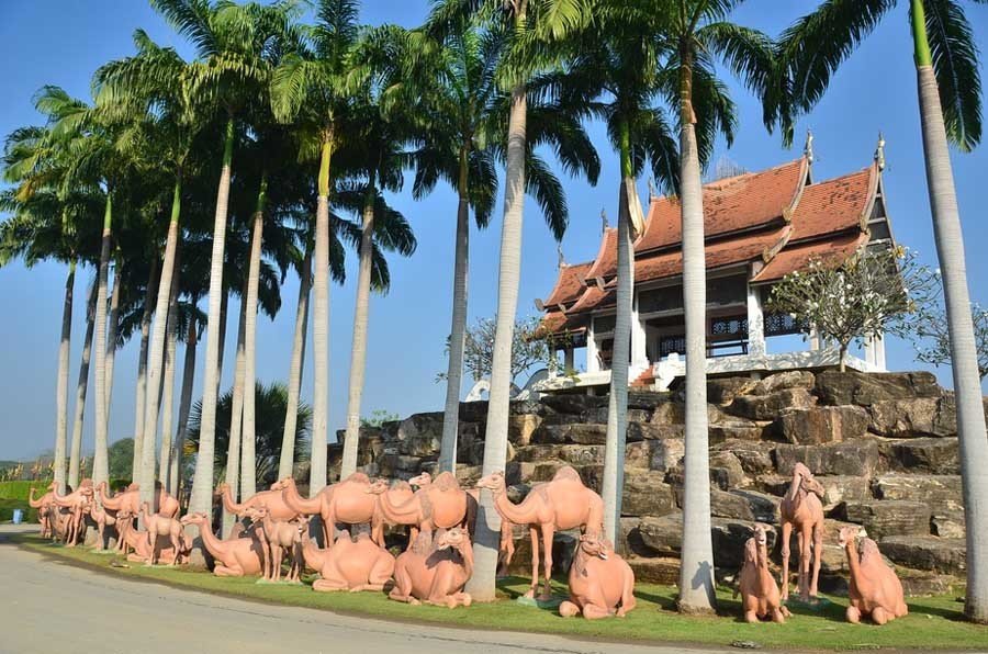 Garden In Chonburi Province