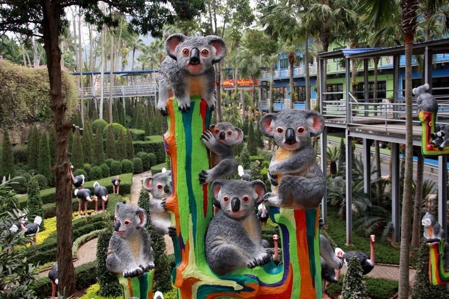 nong nooch crazy koalas