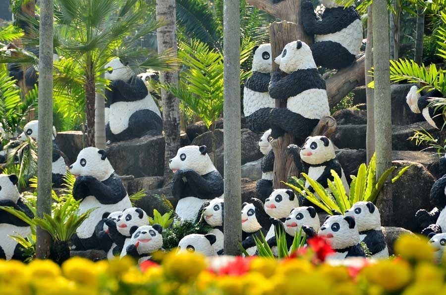 Pandas