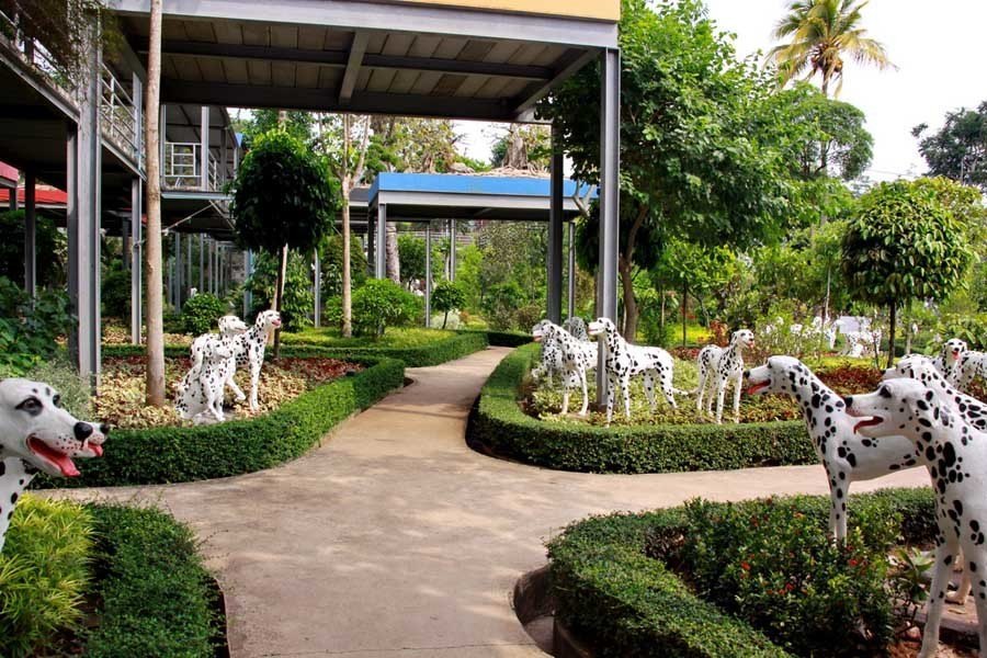 nong nooch dalmation paths