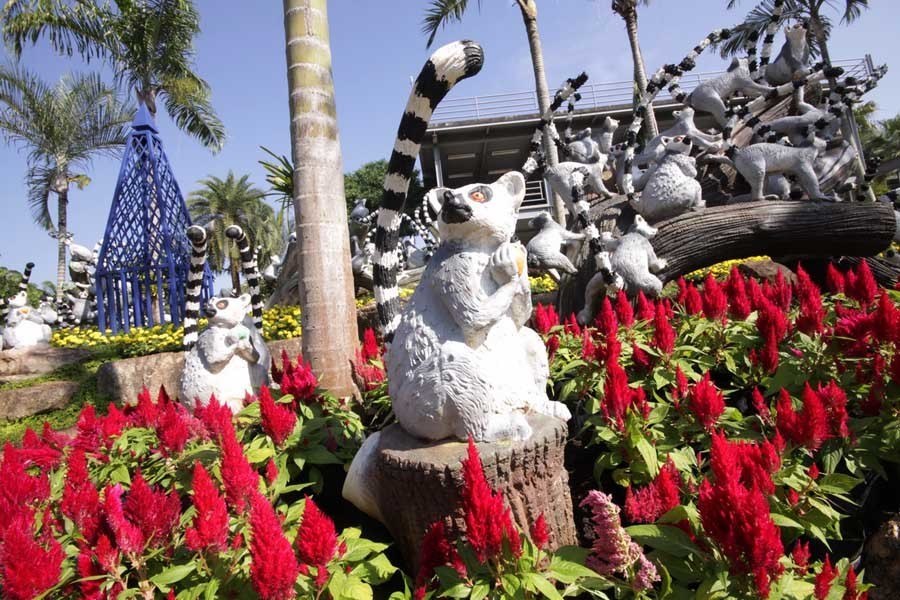 nong nooch lemur land