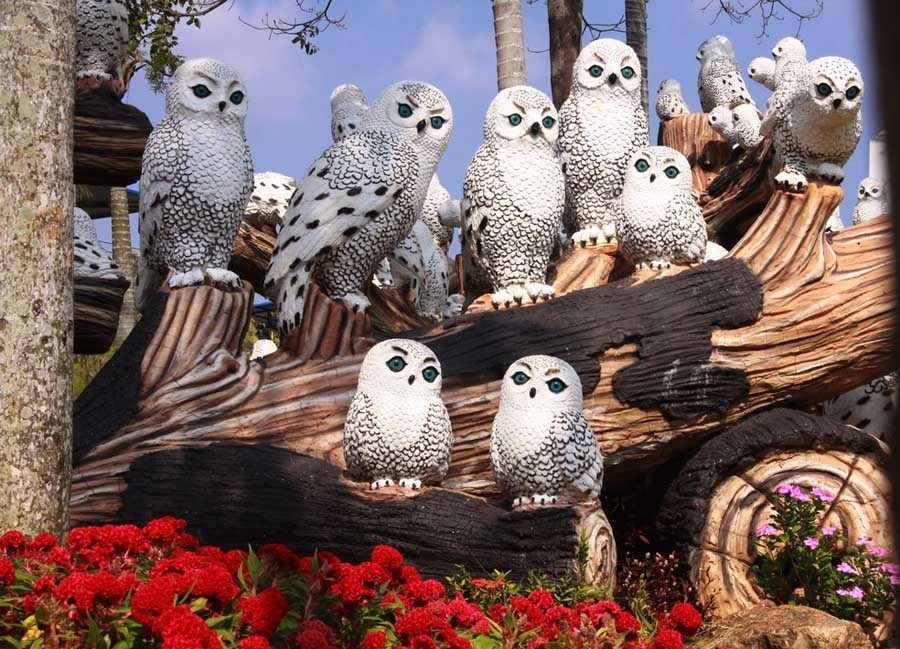 Owls In Thailand Garden