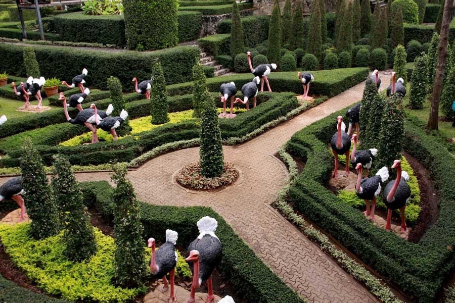 Pictures Of Nong Nooch Garden
