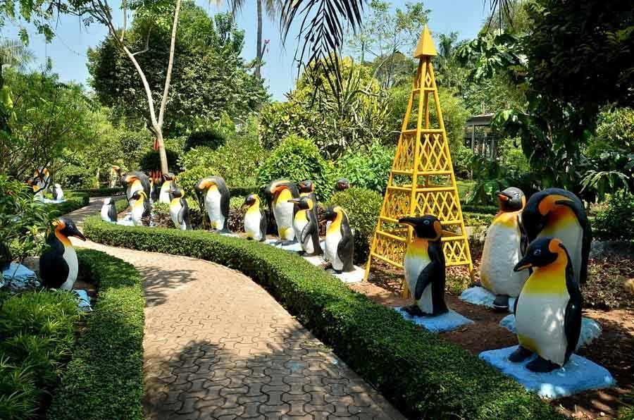 nong nooch penguins