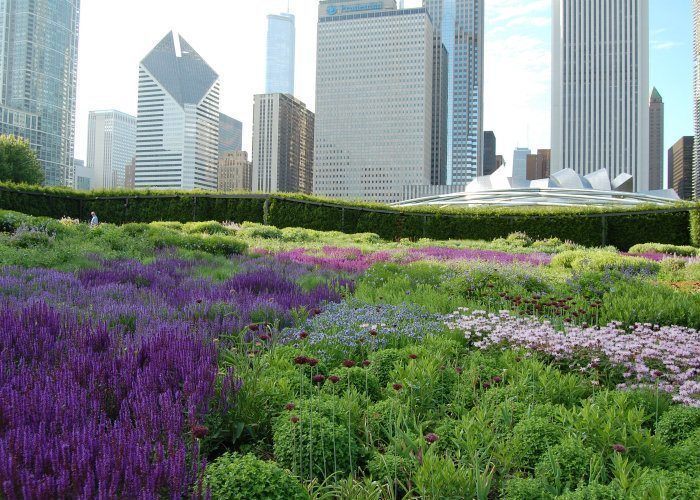25 Rooftop Gardens That Will Make Your Jaw Drop