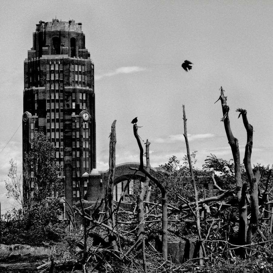 Abandoned Tower Dead Trees