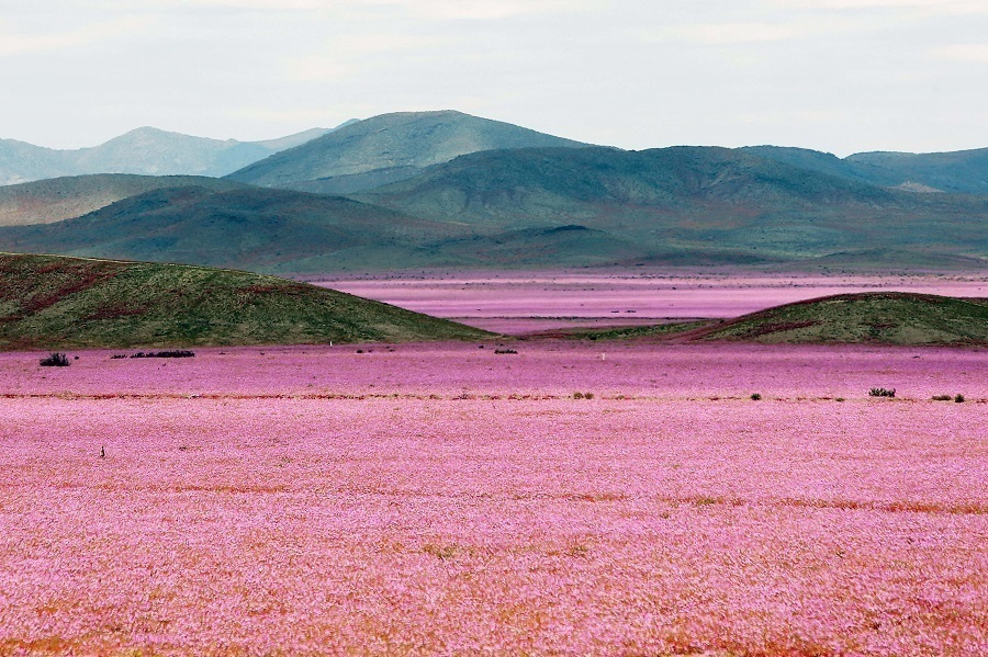 Atacama Desert