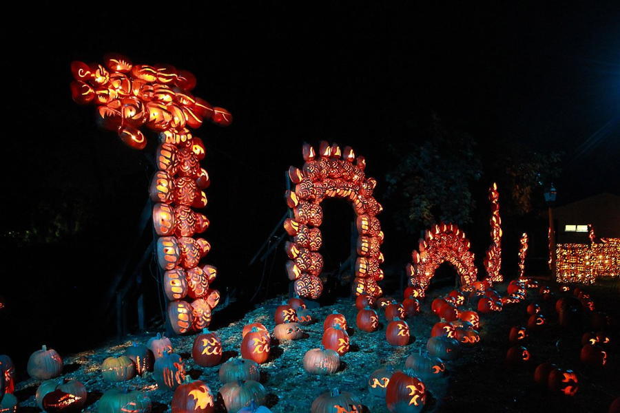 Jack O Lantern Serpent