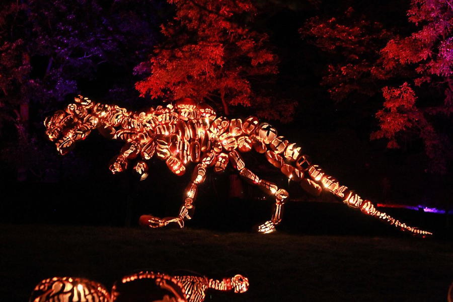 Jack O Lantern T Rex