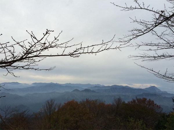 Winter Instagram Photos Japan Fog