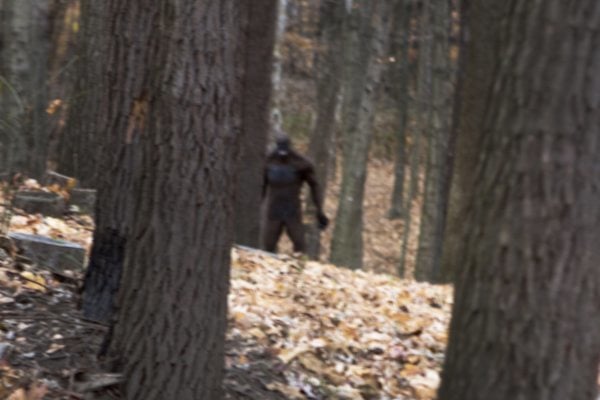 10 Bigfoot Facts That Will Definitely Keep You Out Of The Woods