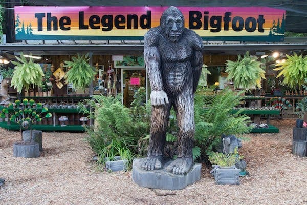 Bigfoot Store
