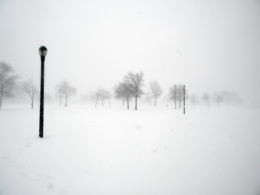 White Out