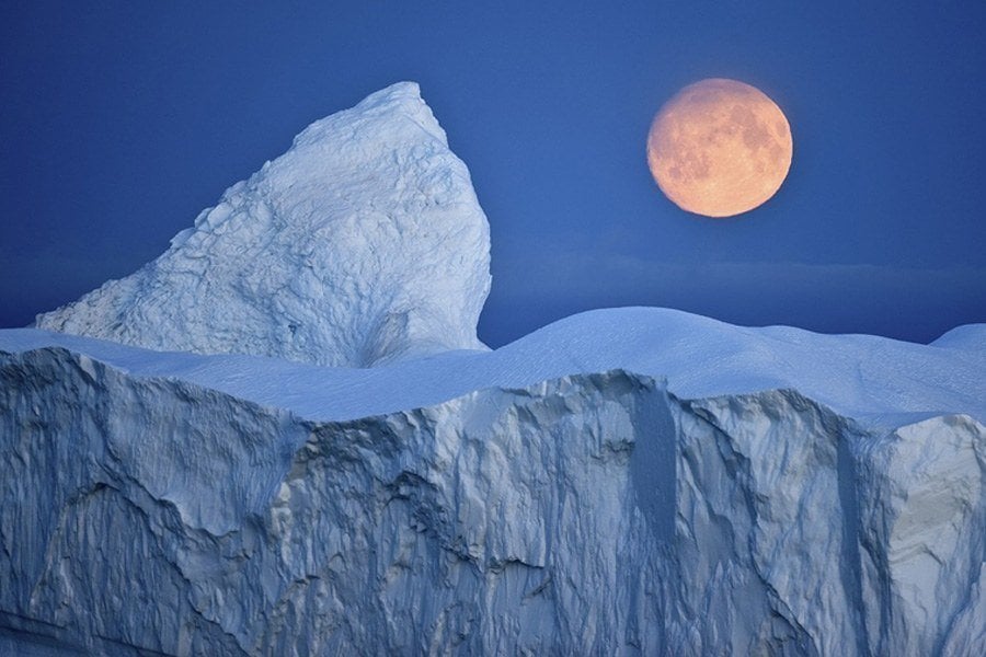 25 Antarctica Facts That Are Unbelievably True