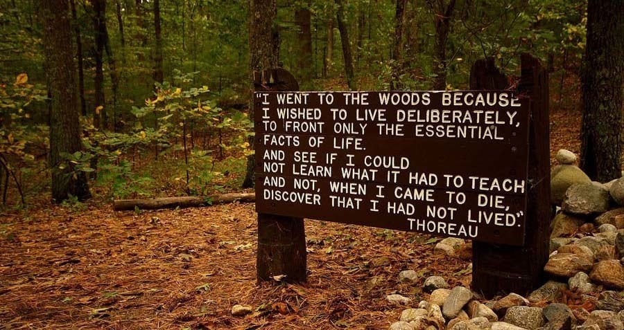 24 Henry David Thoreau Quotes That Will Change Your Worldview