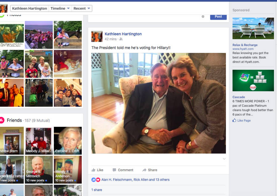 Bushhillarypic