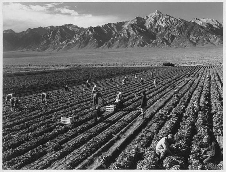 Farm Workers Internment