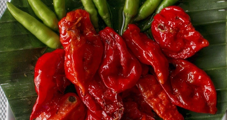 Ghost Pepper