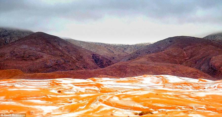 Orange Snow