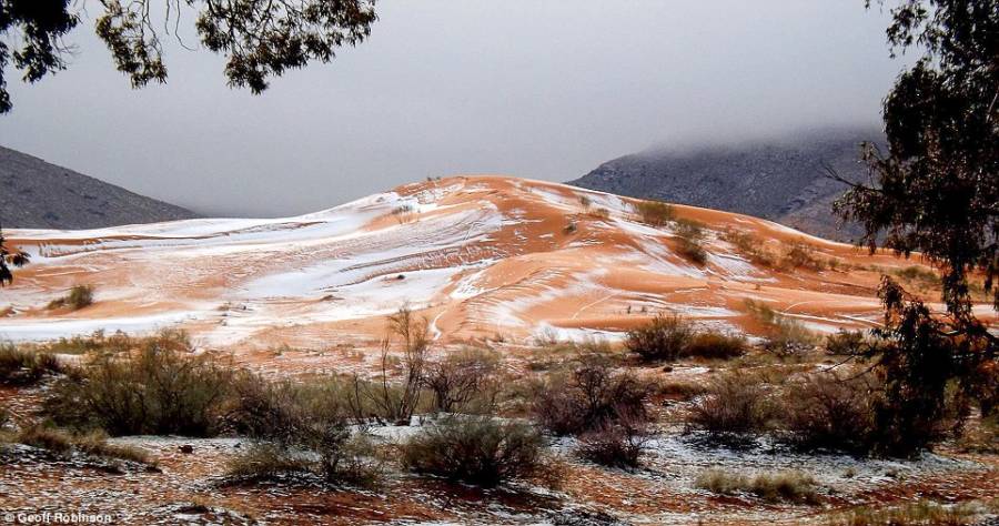 Snow Dune