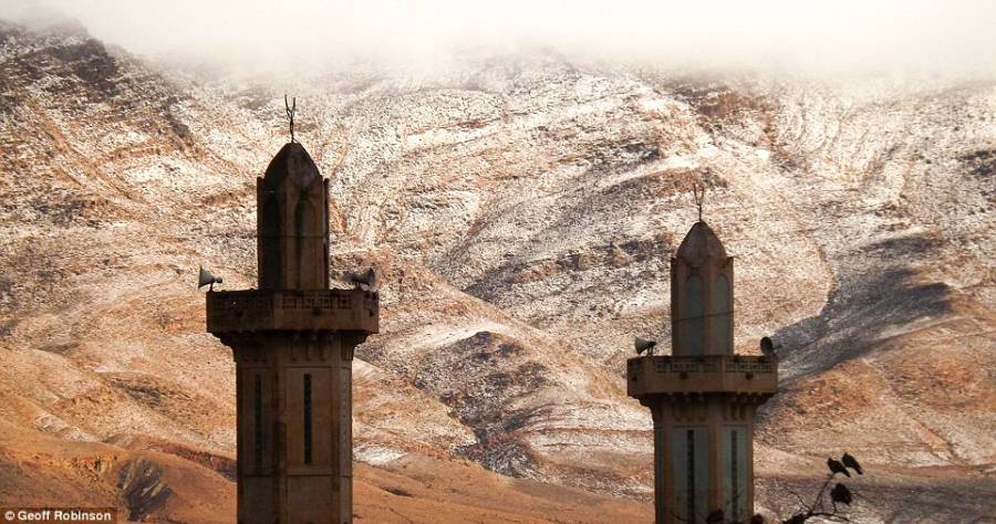 Snow Towers
