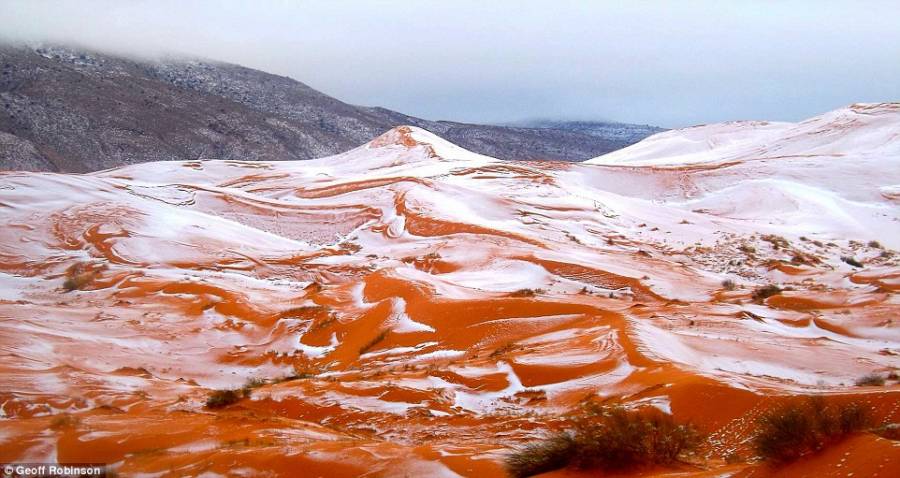 Snow In Sahara Desert