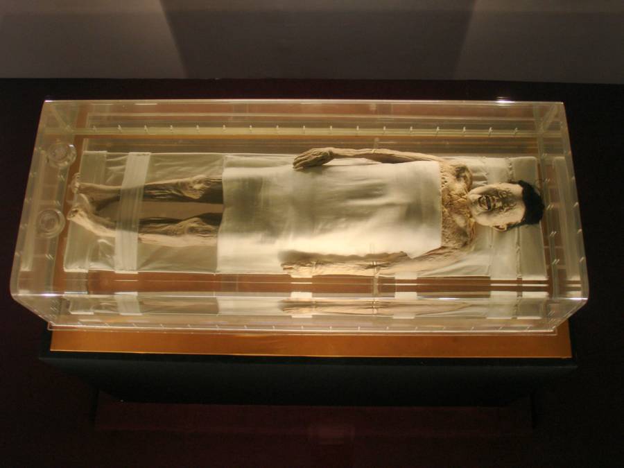 Xin Zhui Mummy Under Glass