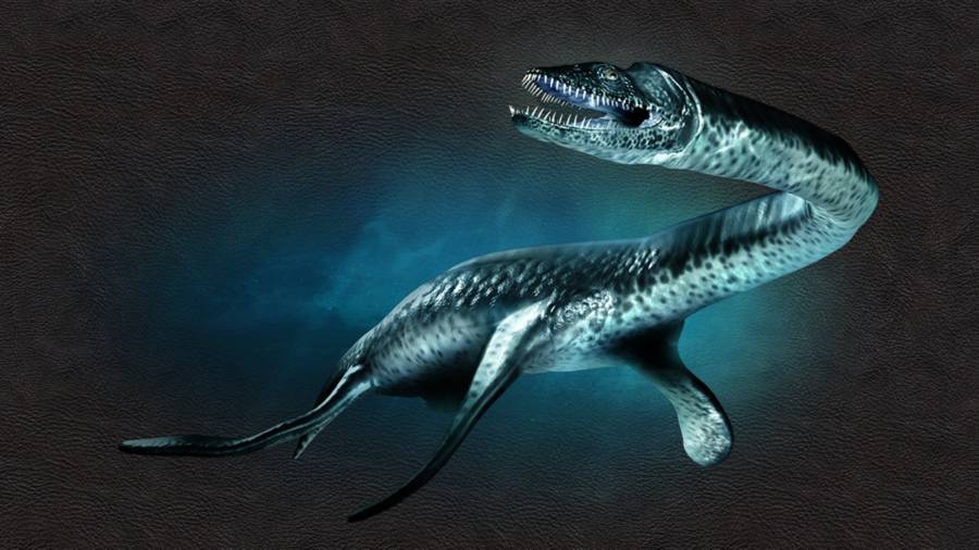plesiosaurus in ocean