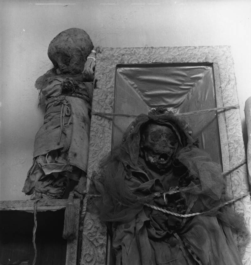 Babies Mummies
