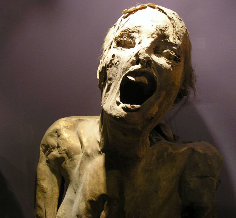 Guanajuato Mummies Face